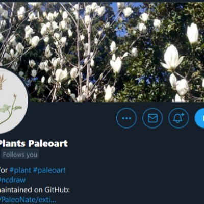 The  Extinct Plants Paleoart Database officially&nbsp;launches!