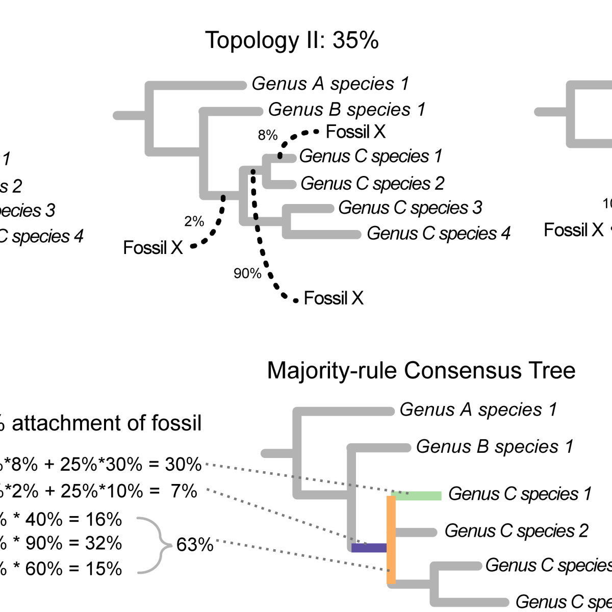 How to represent uncertainty in phylogenies: RoguePlots to the&nbsp;rescue!
