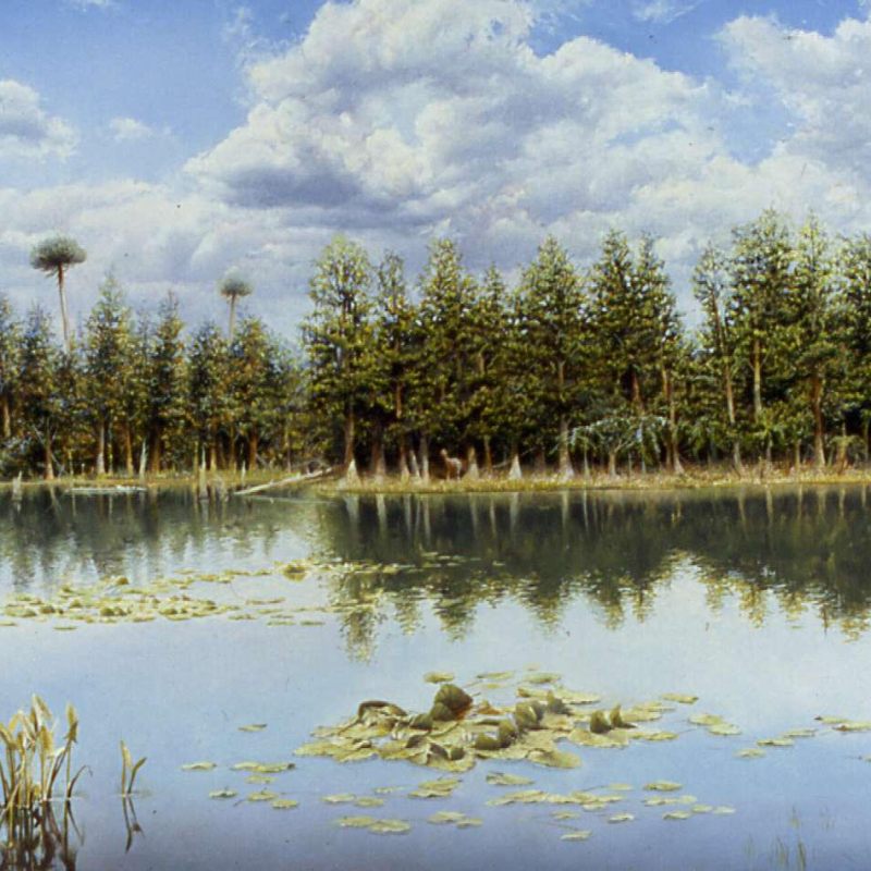 Palaeobotany for Paleoartists VI: paleoart history and the Potomac&nbsp;Group